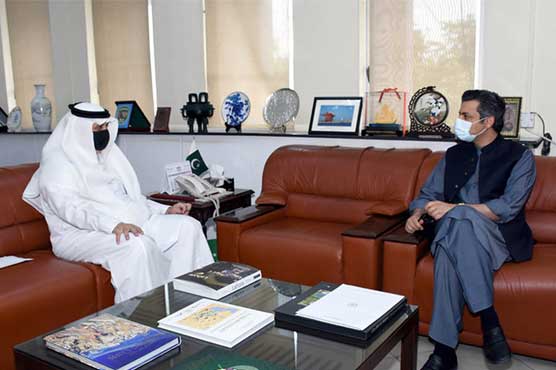 Pakistan has conducive environment for setting up new oil refinery: Hammad