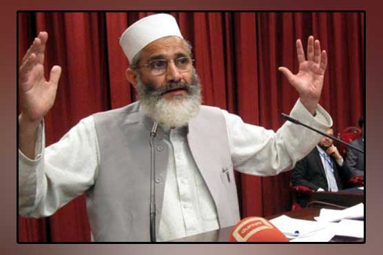 Govt should present National Action Plan for Kashmir's independence: Siraj-ul-Haq