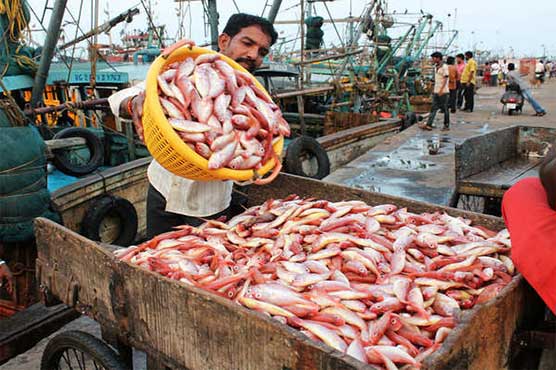 Over 87,482 metric tons of fish, fish preparations worth $185.088m exported in 06 months
