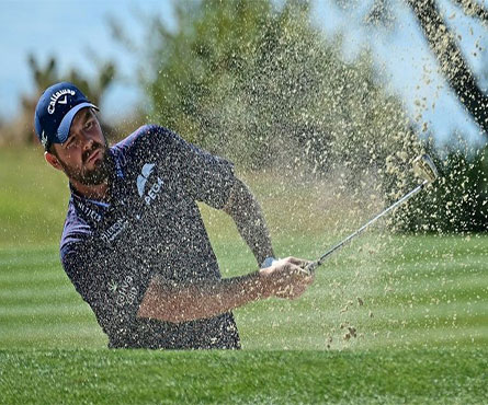 Reed, Noren share first-round lead at Torrey Pines