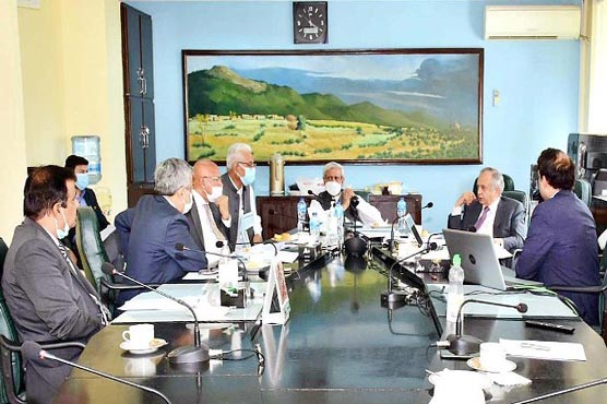 Cotton support price to increase production, bring stability in market: Fakhar