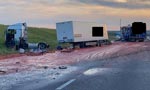Tomato spill leaves highway looking 'like the set of a horror film'