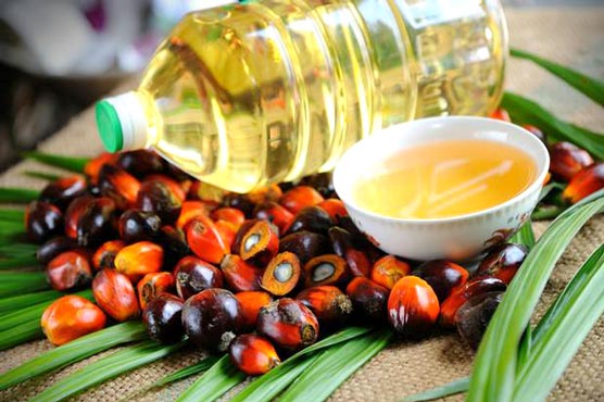 Palm oil imports increase 34pc to $1.585 bln in 8 months