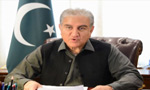 Pakistan deeply values its relations with Hungary: FM Qureshi