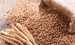 Punjab fixes wheat support price at Rs 1,800 per 40 kilogram