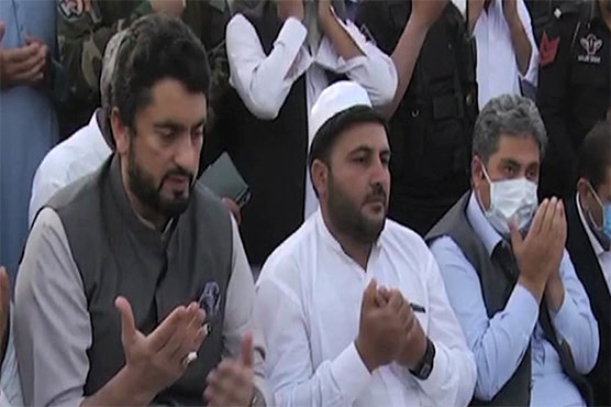 Perpetrators of minor girl's killing in Kohat to be arrested soon: Shehryar Afridi