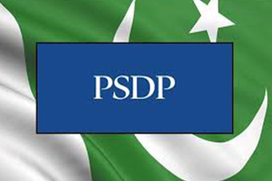 Petroleum sector projects get Rs1,339.589 million in 11 months