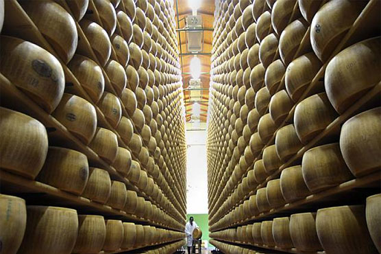 This Bank In Italy Holds Almost Half A Million Wheels Of Cheese