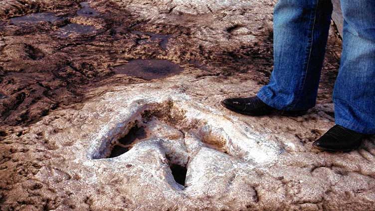 US agency acknowledges damage to dinosaur tracks in Utah 