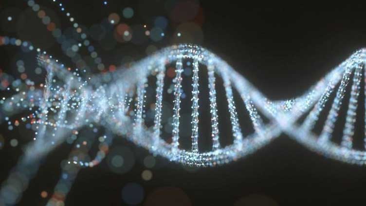 Scientists publish the first complete human genome