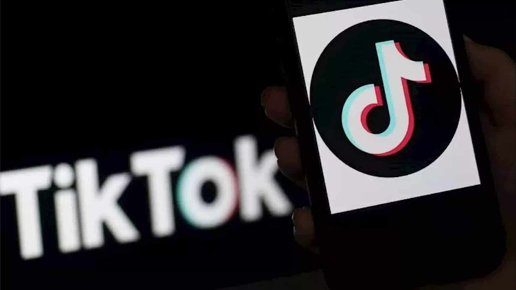 TikTok's ad revenue to surpass Twitter and Snapchat combined in 2022