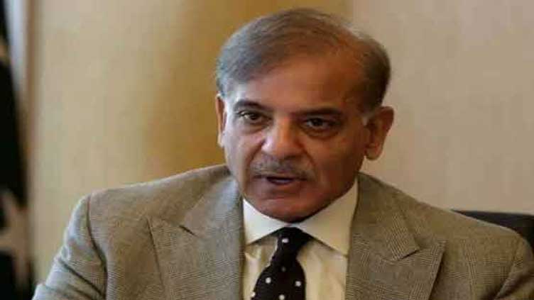 Govt to work for 'well-being' of all: PM Shehbaz
