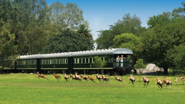 South African train makes safari trip, but never moves