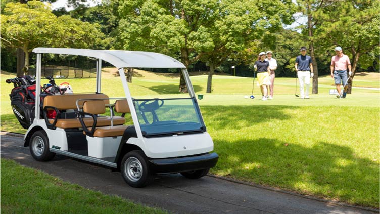 Man gets 2 years for multistate motorized golf cart thefts