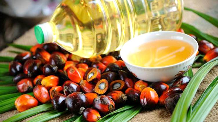 Palm oil imports up by 46.74% to $2.73 bln in 3 Quarters