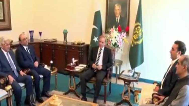 PM Shehbaz meets Asif Zardari, pledges to work for democratic stability