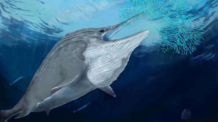 Fossils of giant marine reptiles found high in the Swiss Alps