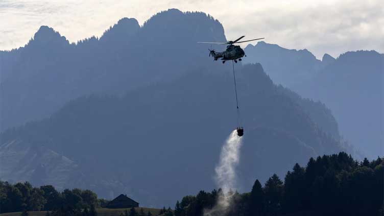 Swiss army airlifts water to thirsty animals in Alpine meadows