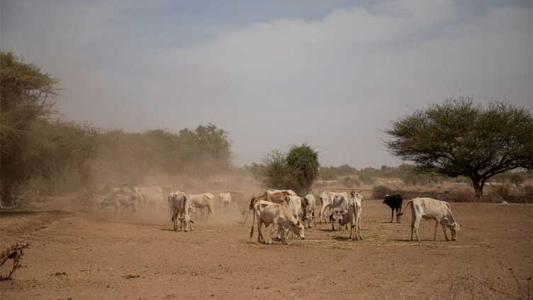 U.N. humanitarian agencies face record funding gap this year