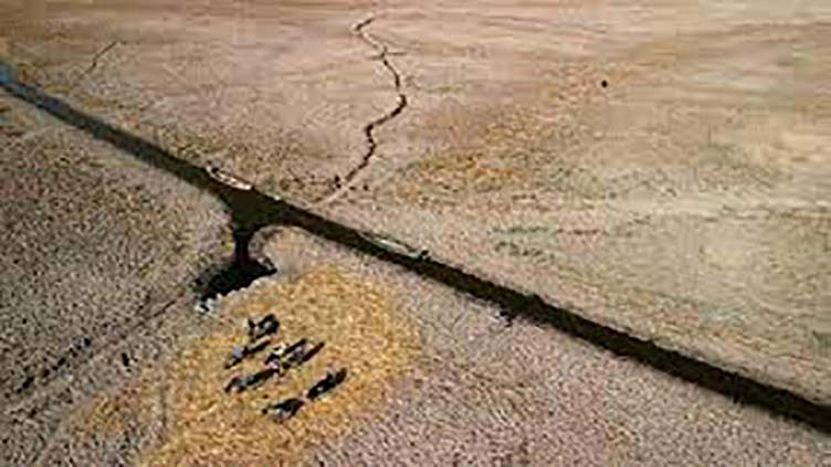 Iraq's Garden of Eden now 'like a desert'