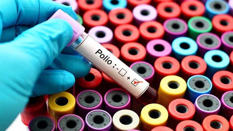 Why has polio been found in London, New York and Jerusalem?