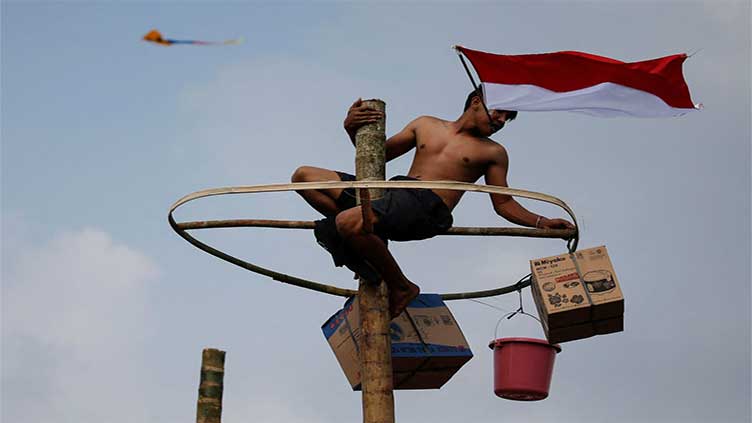 Indonesians climb greasy tree trunks for Independence Day games