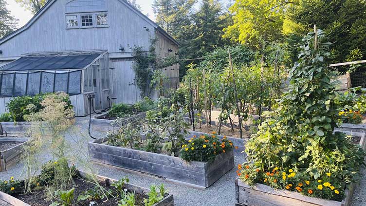 For hire or food, garden sitters save the day during summer