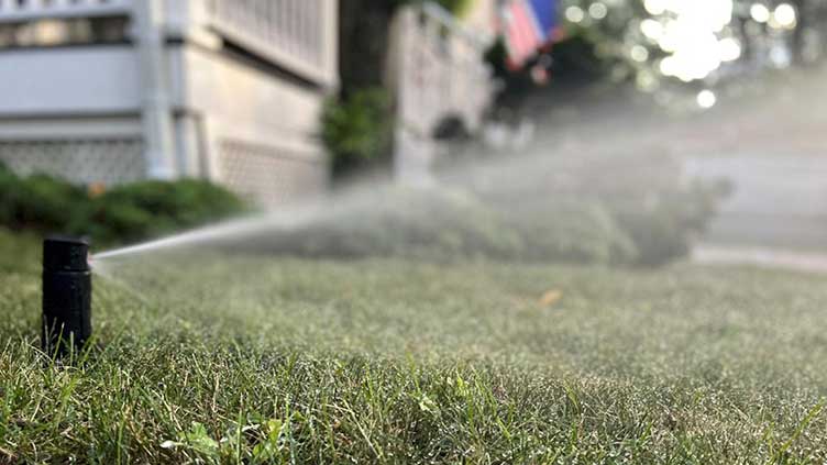 These are dry, stressful days for lawns. Some tips to help