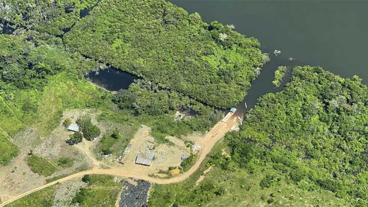 Crucial illegal road threatens Amazon rainforest