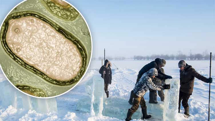  French scientists revive 50,000 years old 'zombie virus' in frozen lake