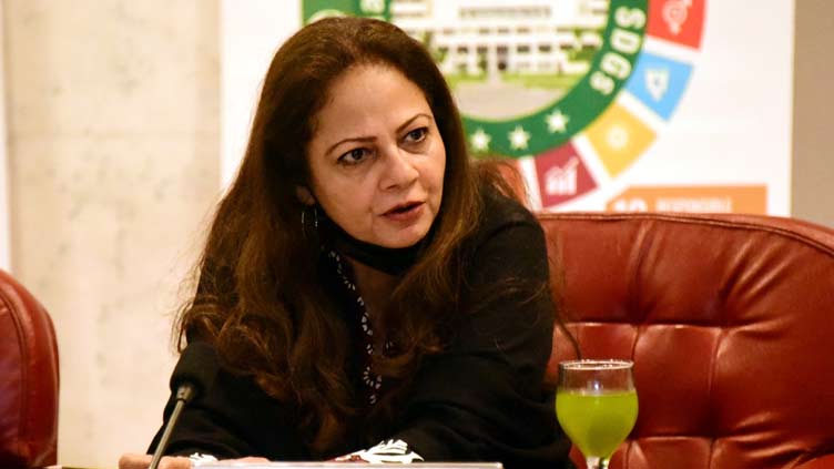 No plan to impose economic emergency: Aisha Ghaus Pasha