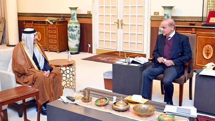 PM Shehbaz lauds positive trajectory in Pak-Qatar ties