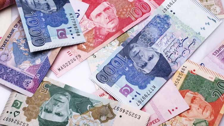 Pakistan’s foreign exchange reserves drop to alarming level