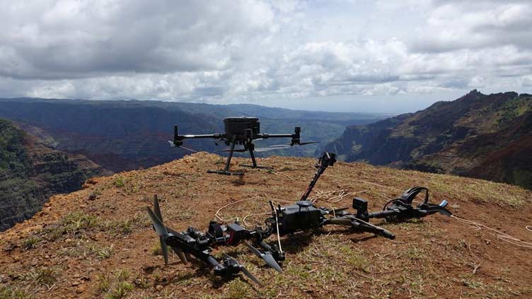 How daredevil drones find nearly extinct plants hiding in cliffs