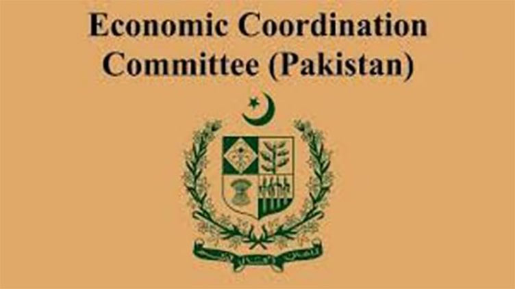 ECC approves agenda items related to Reko Diq Project