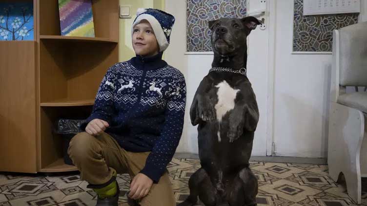 Dog therapy for kids facing the trauma of the war in Ukraine