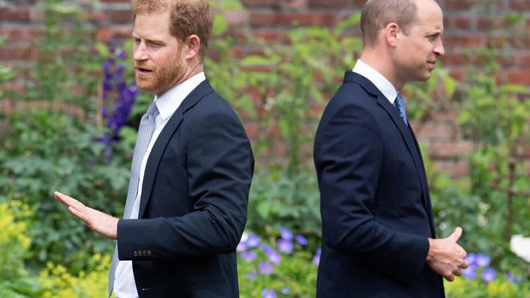 Royals 'happy to lie' for William, claims Harry in new trailer