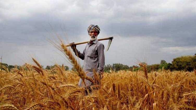 Farmers provided Rs538bn assistance under Kissan Package