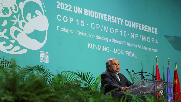 At COP15 summit, UN announces nature restoration priorities through 2030