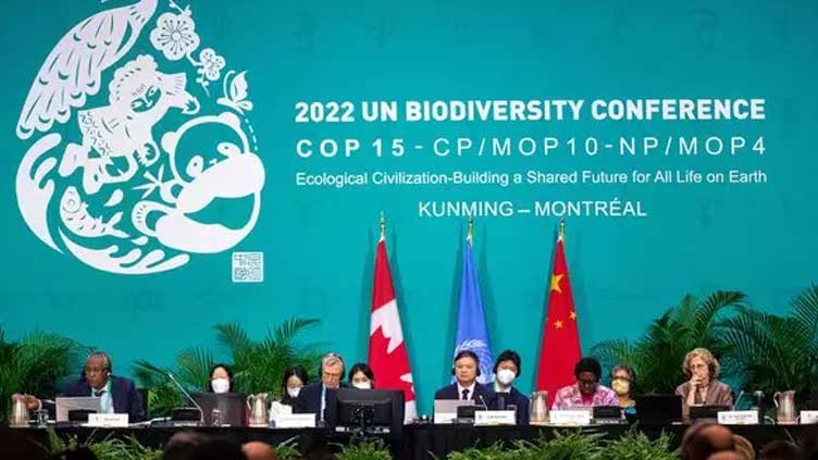  COP15 reaches deal to halt decline in nature by 2030