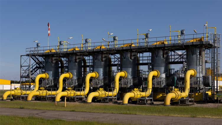  EU countries agree gas price cap to contain energy crisis