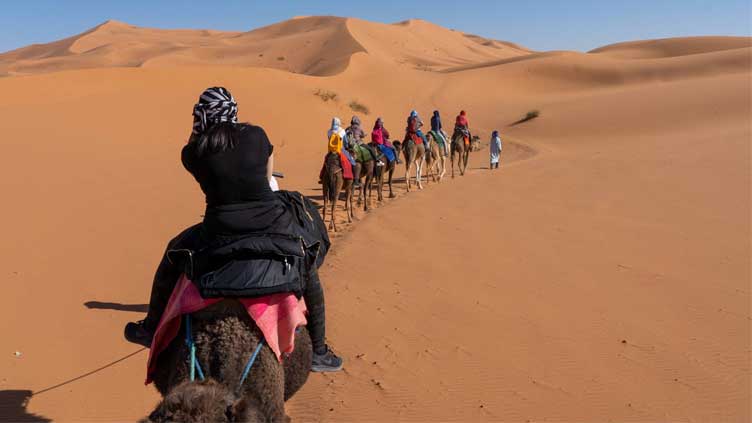 'Taste the flavors of Morocco and learn about its culture at festivals' 