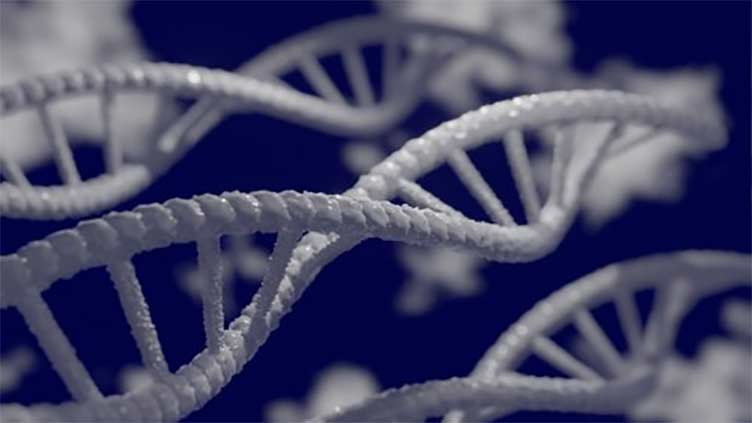 Humans continue to evolve with the emergence of new genes