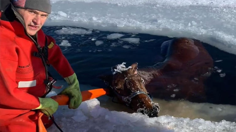 Residents rescue horse that fell through ice on Wisconsin lake