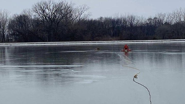 Stranded deer rescued from ice-covered Indiana pond