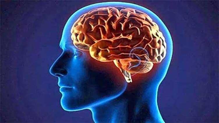 Extra fat on liver damages mental health, new research