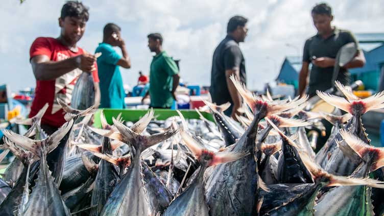 Fish exports increase by 23.53pc to $185 million