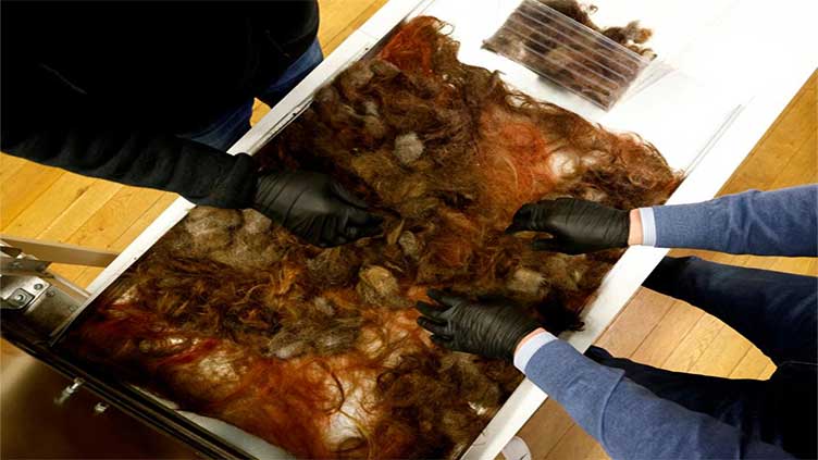 Human hair recycled in Belgium to protect the environment