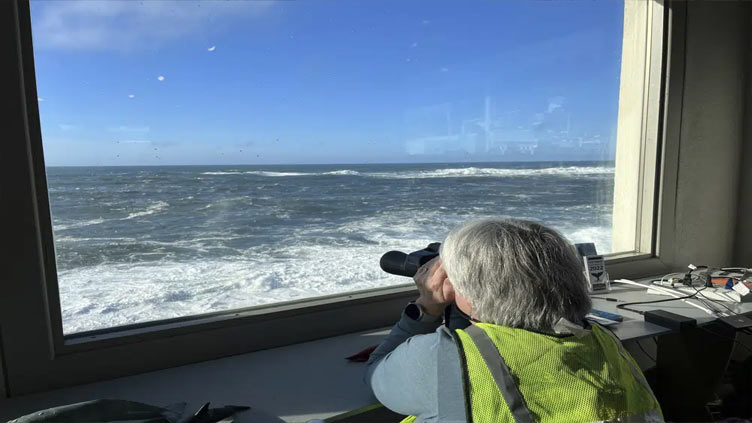 Whale Watch Week returns in-person in Oregon after pandemic