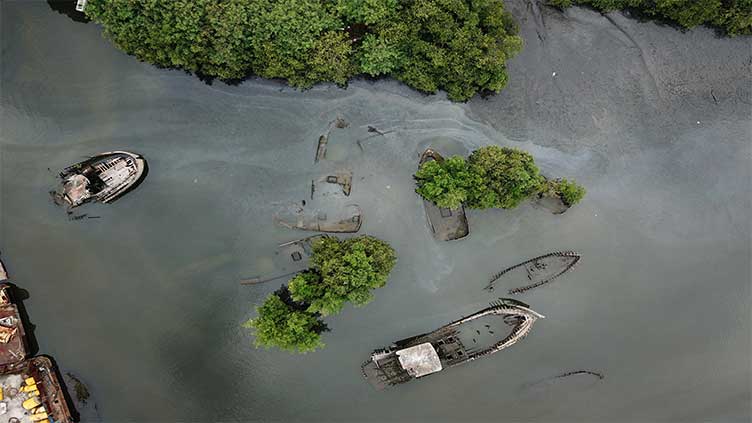 Brazil's graveyard of ships risks environmental disaster, warns activist group